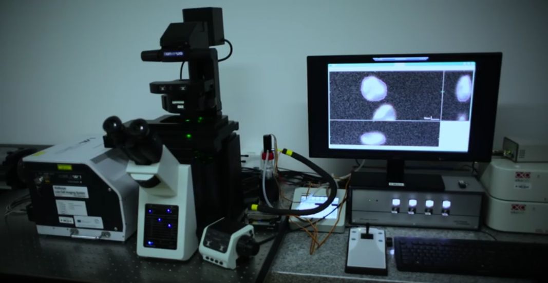 Microscopy Setup 1