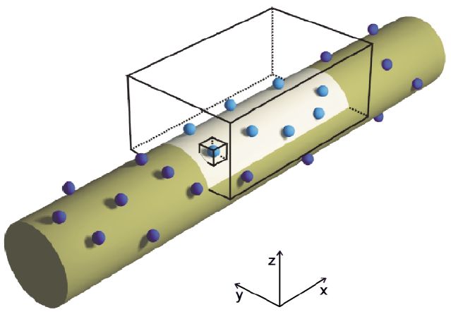 Brno cell tomography system