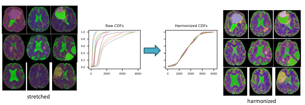 CDF normalizer overview